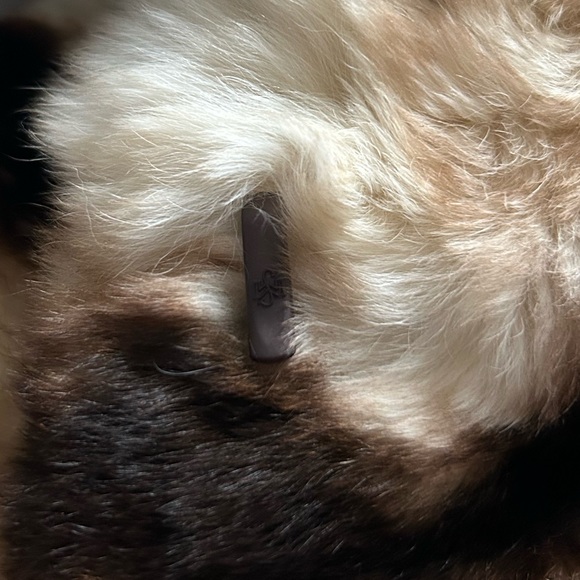 Fur Coat - Picture 4 of 6